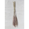 Natural Dried Fountain Grass
