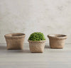 Basket Planter