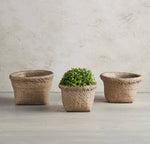 Basket Planter