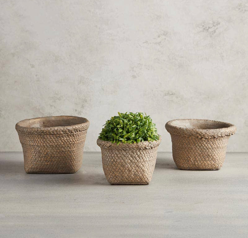 Basket Planter