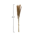 Natural Dried Fountain Grass